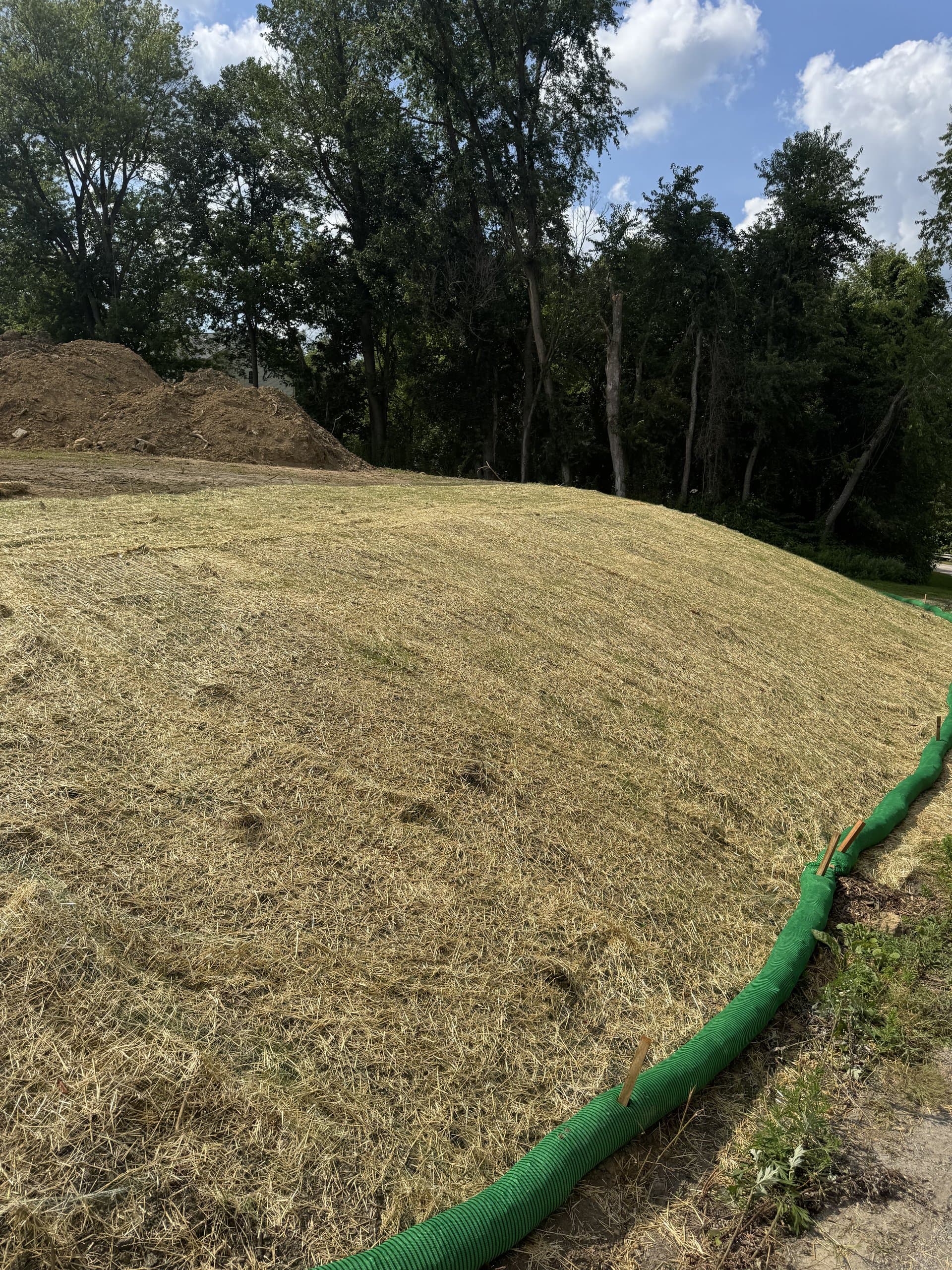 Re-shaped residential yard with new lawn coming in