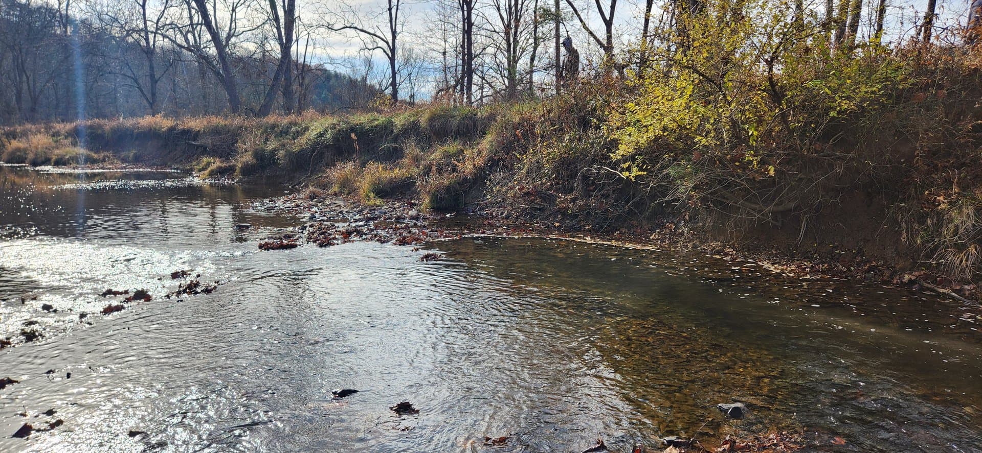 Meadow stream meandering through wooded valley before EW Wise restoration