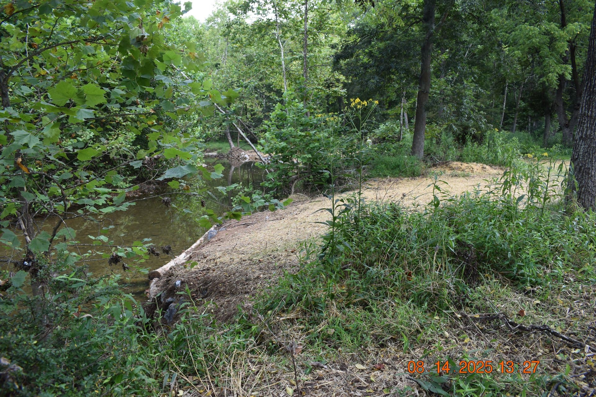 Stream deflector placed in a calm pool with mulched bank