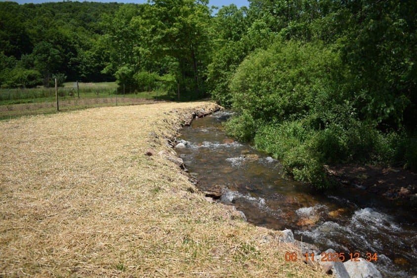 Restored meadow stream bank running along a pasture fence line