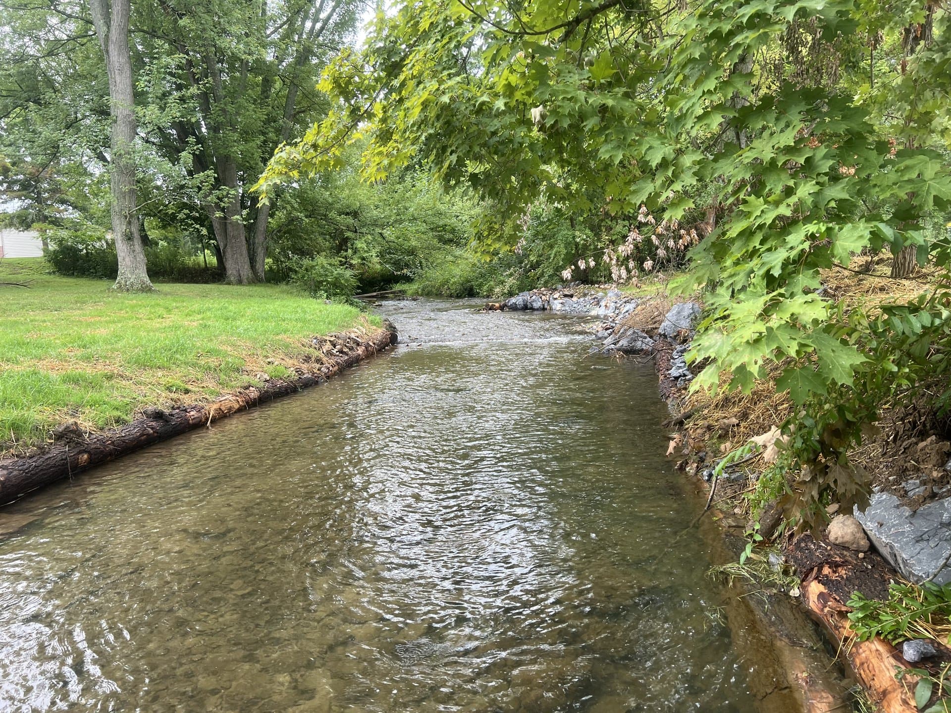 Calm park stream channel restored with log and stone toe in summer