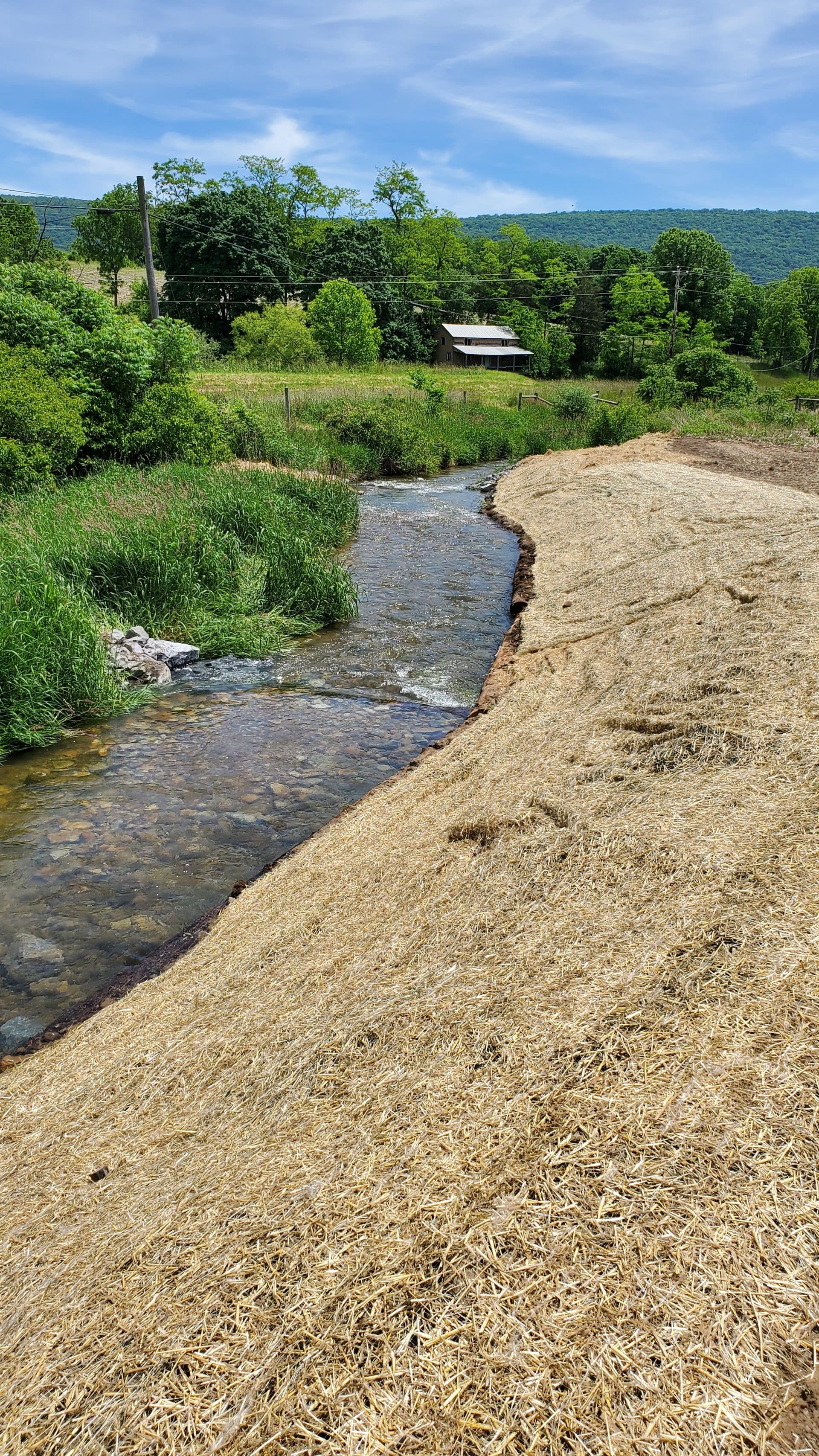 Tall view of the restored streambank with mountains and barn in the distance